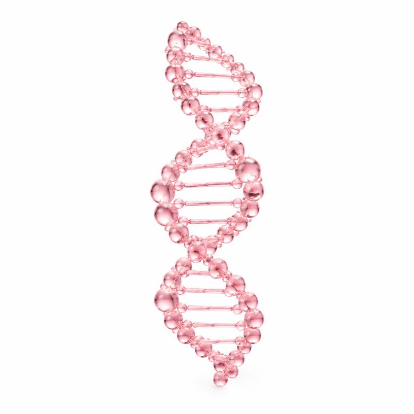 PDRN (Sodium DNA) — illustrative image